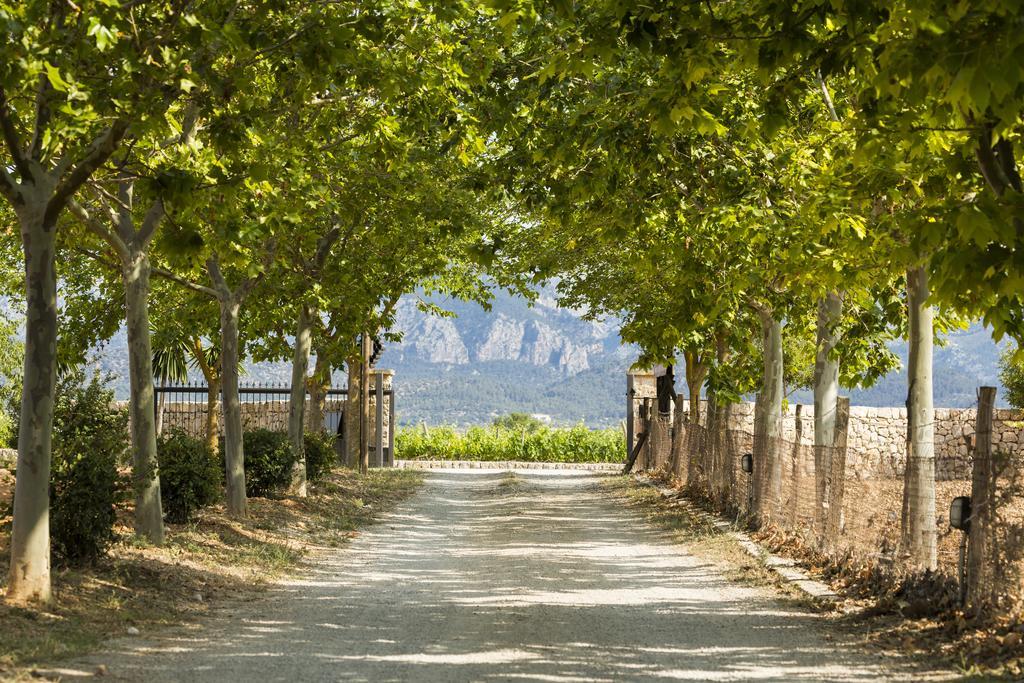 Agroturisme Sa Torre (Adults Only) Санта-Эухениа Экстерьер фото